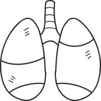 ilustración de pulmones dibujados a mano vector