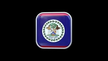 3d Belize Flag Square Icon Animation Transparent Background Free Video