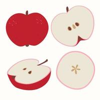 ilustración vectorial de stock con un conjunto de manzanas sobre un fondo blanco, manzanas rojas, rodajas. manzanas contemporáneas. linda fruta de verano colorida para el diseño de iconos, pegatinas. eps 10 vector