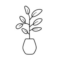 Hand drawn house plant. Outline plant in pot. Vector illustration isolated on white