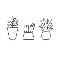 Hand drawn house plants in pots. Vector illustration in outline style isolated on white background