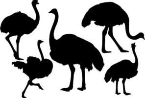 vector de silueta de avestruz para sitios web, obras de arte relacionadas con gráficos