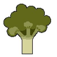 pixel icon proper nutrition vegetable broccoli vector