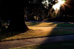 Morning misty haze off a lawn with a foot path photo