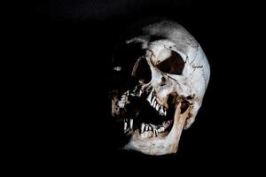 Human skeleton skull head isolated on black photo