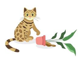 Bengal cat with a flower pot vector