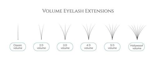 Vector bunch of artificial eyelashes for volume lash extensions. Professional lashmaker guide for training different types of bunches. Tweezing materials for salon beauty procedure