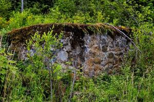 100 year old stone wall in the overgrown forest photo