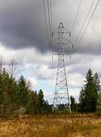 Power line towers cutting through the trees in a forest with dark clouds photo