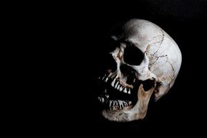 cabeza de cráneo de esqueleto humano aislada en negro foto