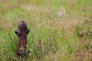 Old rusty fire hydrant in grass photo