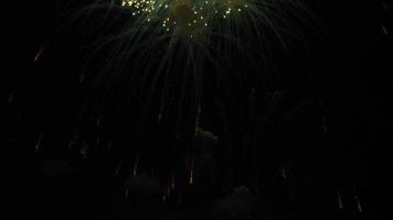 Beautiful multicolored festive fireworks in the night sky video