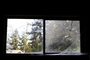 Dirty old neglected spider web covered window looking out in to a forest photo