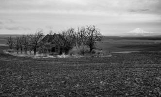 Old abandoned farm house surrounded by trees with a mountain in the background photo