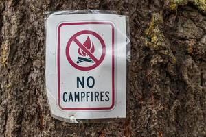 Paper no campfires sign photo