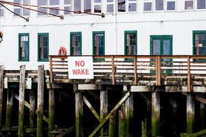 No wake sign on a seaweed covered marina photo