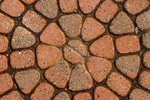 Red circular paved bricks with dirty moss photo