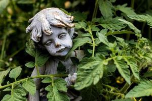 jardín de tomates con estatua de niña foto