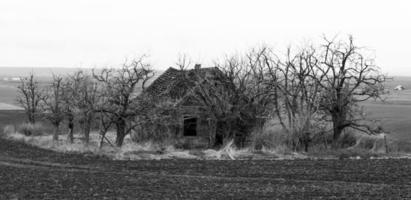 Spooky abandoned house in field surrounded by dead trees photo