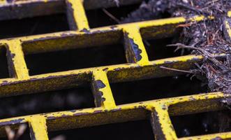 Yellow rusty iron storm drain with dried leaves and twigs photo