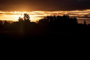 Red sunrise sunset over a tree line horizon with heavy clouds photo