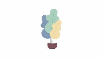 Animated decorative bush object. Natural element for interior. Full sized flat item on white background with alpha channel transparency. Colorful cartoon style HD video footage for animation