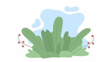 Animated isolated wavering plants video
