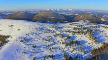 vue à vol d'oiseau des montagnes couvertes de neige et des arbres pris du drone. video