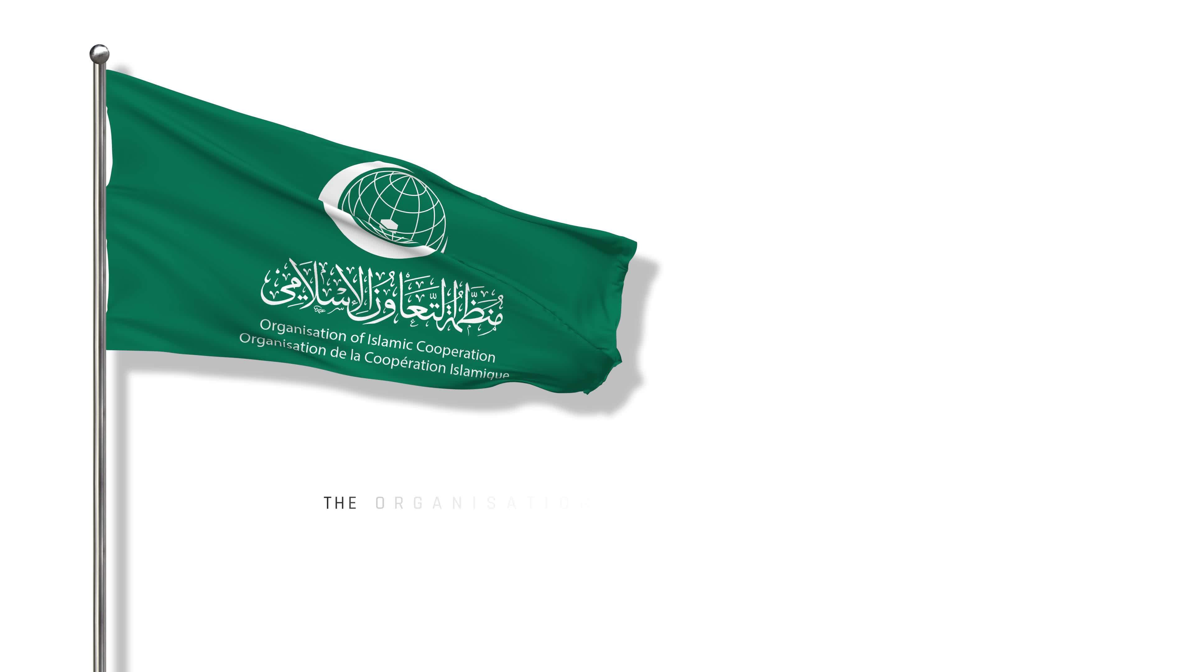 OIC Flag, The Organisation of Islamic Cooperation Flag Waving in The