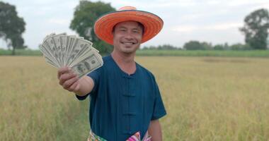 portrait d'un fermier asiatique heureux vêtu d'une robe bleue et d'un chapeau montrant de l'argent et le pouce vers le haut dans la rizière. video