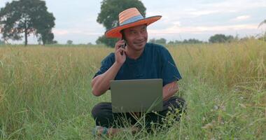 Portrait of Happy Asian farmer man in hat and blue dress checking the growth of rice fields on laptop and talking on mobile phone while sitting at the paddy field. video