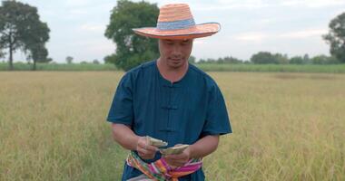 portrait d'un agriculteur asiatique surpris vêtu d'une robe bleue et d'un chapeau comptant de l'argent dans la rizière. video