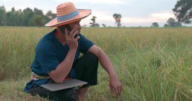 ritratto di asiatico contadino uomo nel cappello con perizoma parlando su mobile Telefono mentre seduta a il risaia campo. video