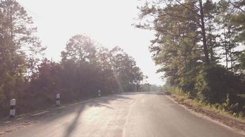 Vorderansicht des Fahrers während der Fahrt auf der örtlichen Straße umgeben von Pinien Hochlandwald im Winter bei Sonnenuntergang, Fahrt durch Pinienwald video