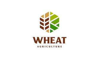 Luxury Grain wheat logo concept, Agriculture wheat Logo Template vector icon