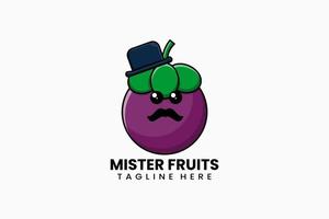 Flat modern template mister mangosteen fruits logo vector