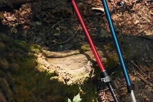 Close up view of touristic equipment that is in the forest photo