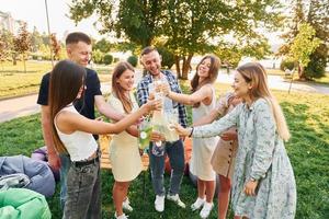 Having a drink. Group of young people have a party in the park at summer daytime photo