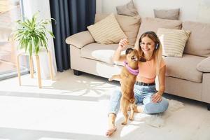 Playing with pet. Woman with pug dog is at home at daytime photo