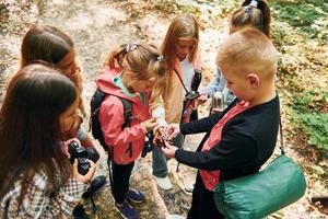 View from above. Kids in green forest at summer daytime together photo