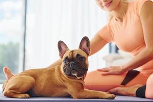 Yoga time. Woman with pug dog is at home at daytime photo