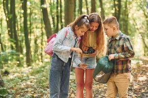 Having a walk. Kids in green forest at summer daytime together photo