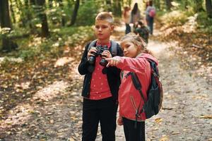 Founding the way. Kids in green forest at summer daytime together photo