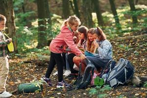 Kids in green forest at summer daytime together photo