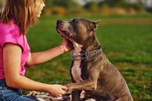 Outdoors on the field. Woman in casual clothes is with pit bull photo