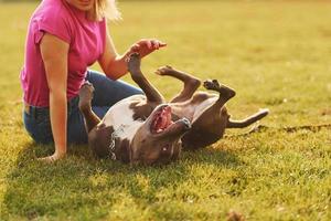 Playing on the ground. Woman in casual clothes is with pit bull outdoors photo