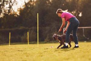 Doing tricks. Woman in casual clothes is with pit bull outdoors photo