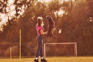 Doing tricks. Woman in casual clothes is with pit bull outdoors photo