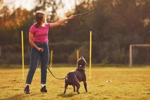 Playing with wooden stick. Woman in casual clothes is with pit bull outdoors photo