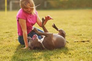 Playing on the ground. Woman in casual clothes is with pit bull outdoors photo